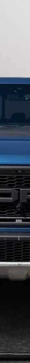 2019 Ford  F 150 Raptor thumbnail 5